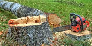 Best Firewood Processing and Delivery  in Rio Grande, NJ