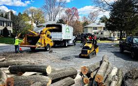 Best Tree Trimming and Pruning  in Rio Grande, NJ